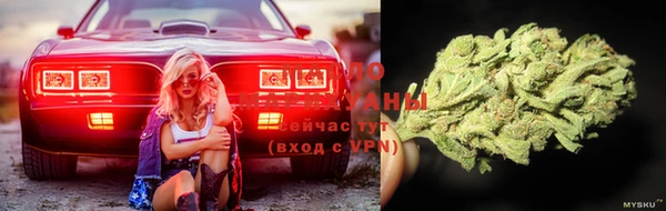 сатива Нефтегорск