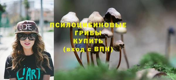 соль ск Нефтекумск