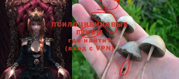 соль ск Нефтекумск