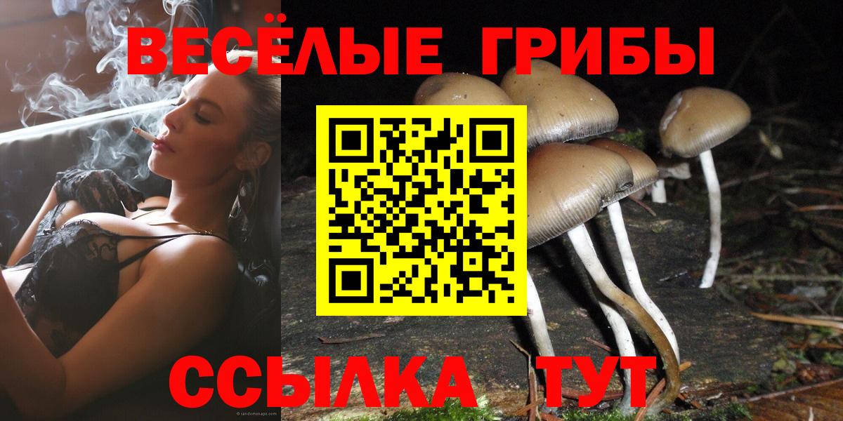 Псилоцибиновые грибы MAGIC MUSHROOMS Белгород