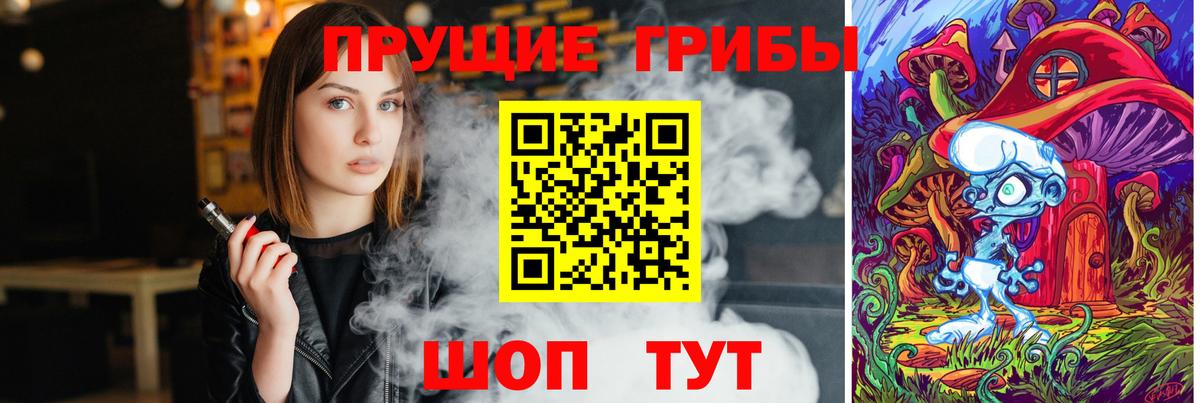 Галлюциногенные грибы Cubensis  Белгород  Псилоцибиновые грибы мицелий 