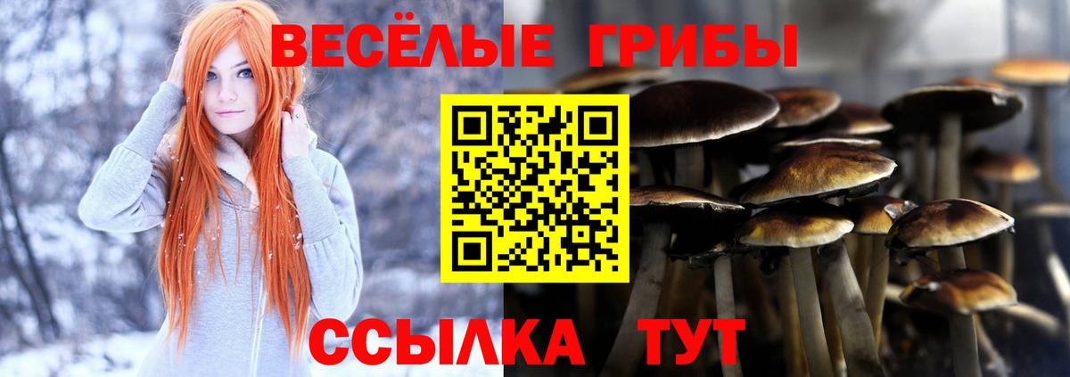 Псилоцибиновые грибы Cubensis Белгород