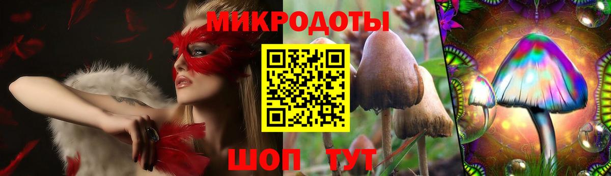 Псилоцибиновые грибы Psilocybine cubensis  Вход с VPN  Белгород 